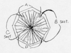 TvIII-1pg16-3.jpg (9955 bytes)